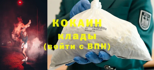 шишки Беломорск