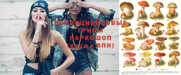 шишки Беломорск