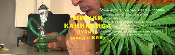 ГАЛЛЮЦИНОГЕННЫЕ ГРИБЫ Белокуриха