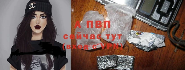 шишки Беломорск