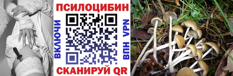 Псилоцибиновые грибы Psilocybine cubensis  Купить закладки  Пересвет 